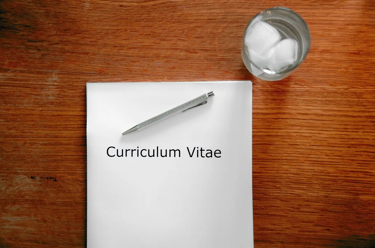 application, curriculum vitae, interview, job interview